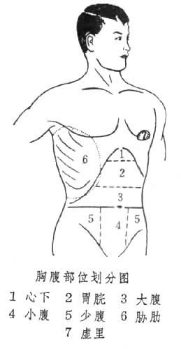 胸腹部位划分图