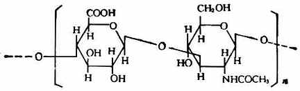 β－D-葡萄糖醛醛酸　N-乙酰基－D-氨基葡萄糖