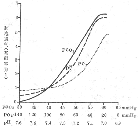 动脉血液pco2,po2,ph改变对肺泡通气