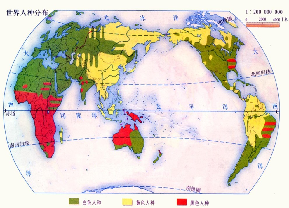 世界人种分布图.jpg